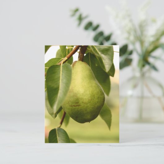 Carte Postale Paire (Debout devant)