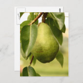 Carte Postale Paire (Devant / Derrière)