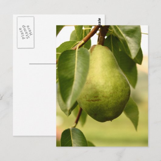 Carte Postale Paire (Devant / Derrière)