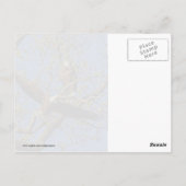 Carte Postale Paire d'aigle (Dos)