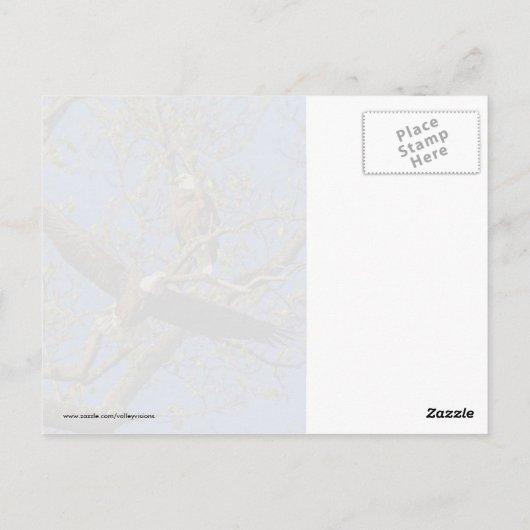 Carte Postale Paire d'aigle (Dos)