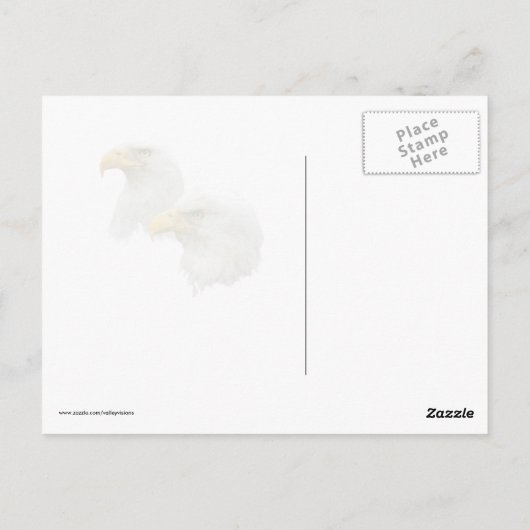 Carte Postale Paire D'Aigle Balle Dans Leur Nid (Dos)