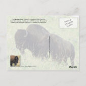 Carte Postale Paire de bisons du Montana (Dos)