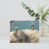 Carte Postale Paire de Iguanas Photographie de la faune tropical (Debout devant)