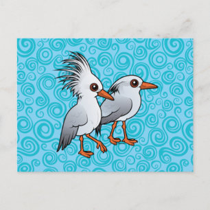 Carte Postale Paire de Kagu