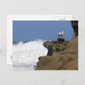 Carte Postale Paire de mouettes (Devant / Derrière)