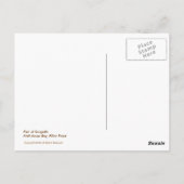 Carte Postale Paire de mouettes (Dos)