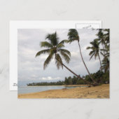 Carte Postale Paire de palmiers (Devant / Derrière)