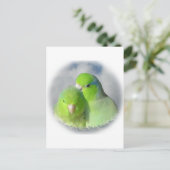 Carte Postale Paire de perroquets verts (Debout devant)