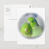 Carte Postale Paire de perroquets verts (Devant / Derrière)