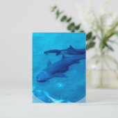 Carte postale Paire de requin (Debout devant)