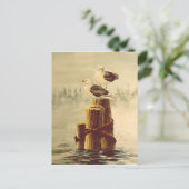 Carte Postale PAIRE de SEAGULLS par SHARON SHARPE (Debout devant)
