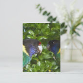 Carte Postale Paire des 28 de Cocy (Debout devant)
