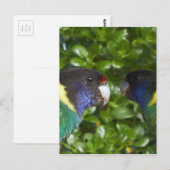 Carte Postale Paire des 28 de Cocy (Devant / Derrière)