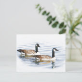 Carte Postale Paire d'oies (Debout devant)