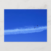 Carte Postale Paire migratoire d'oies (Devant)