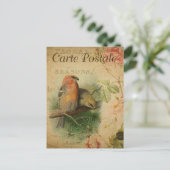Carte Postale Paire vintage d'oiseaux (Debout devant)