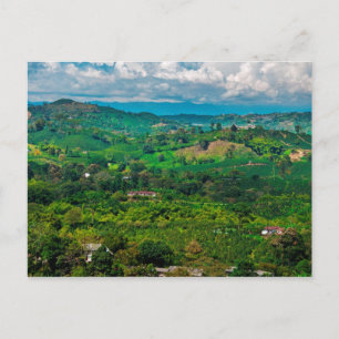 Carte Postale Paisaje del café