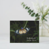 Carte postale paisible (Debout devant)