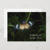 Carte postale paisible (Devant / Derrière)