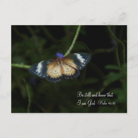 Carte postale paisible (Devant)