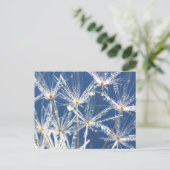 Carte Postale Paisible Dandelion Bleu et Blanc avec Dew (Debout devant)