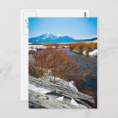 Carte Postale "Paix" (Devant / Derrière)