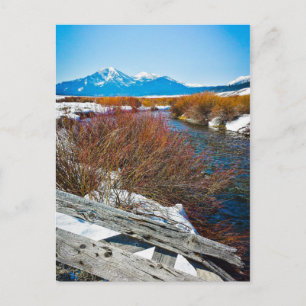 Carte Postale "Paix"