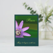 Carte Postale Paix (Debout devant)