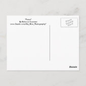 Carte Postale Paix (Dos)