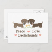 Carte postale Paix Amour Dachshunds (Devant / Derrière)