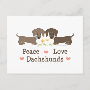 Carte postale Paix Amour Dachshunds