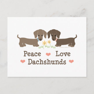 Carte postale Paix Amour Dachshunds