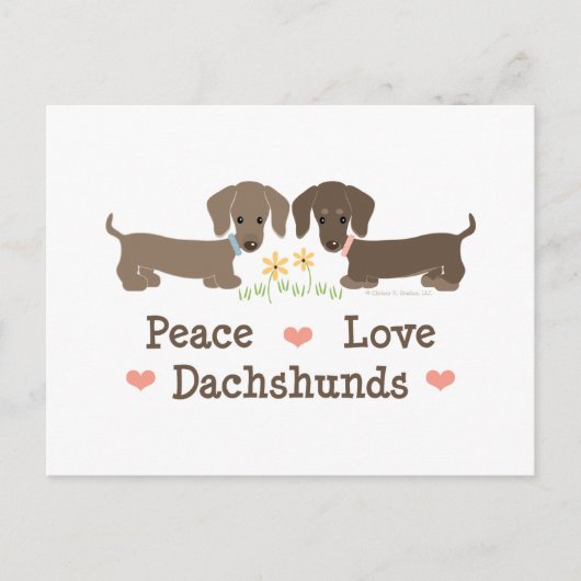 Carte postale Paix Amour Dachshunds (Devant)