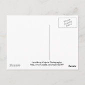 Carte Postale paix dans la vallée (Dos)