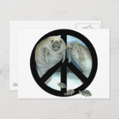 Carte Postale paix manatee (Devant / Derrière)