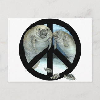 Carte Postale paix manatee