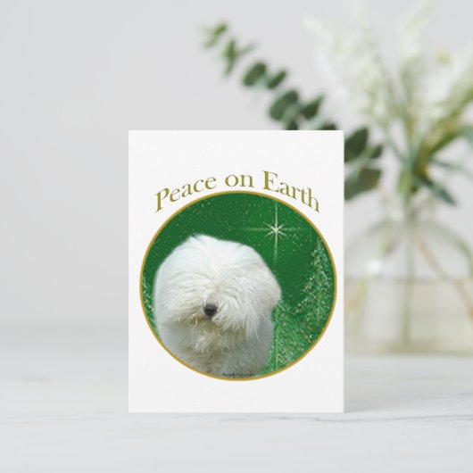 Carte Postale Paix Puli (Debout devant)