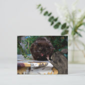 Carte Postale Paix ! Soyons amis (Debout devant)