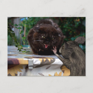 Carte Postale Paix ! Soyons amis