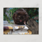 Carte Postale Paix ! Soyons amis (Devant)