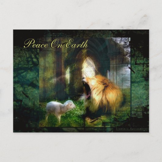 Carte Postale Paix sur terre (Devant)