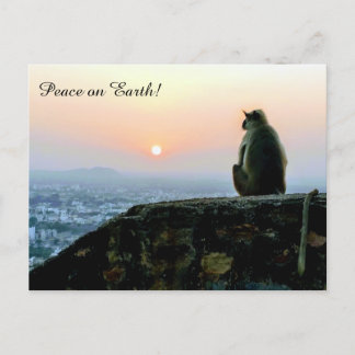 Carte Postale Paix sur Terre Méditation Singe Inde Coucher de so