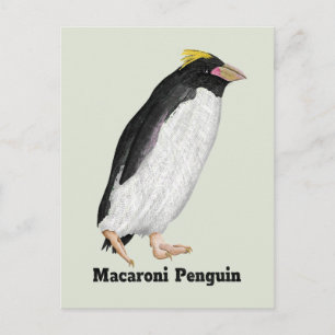 Carte Postale Palaeeudyptes Pingouin disparu
