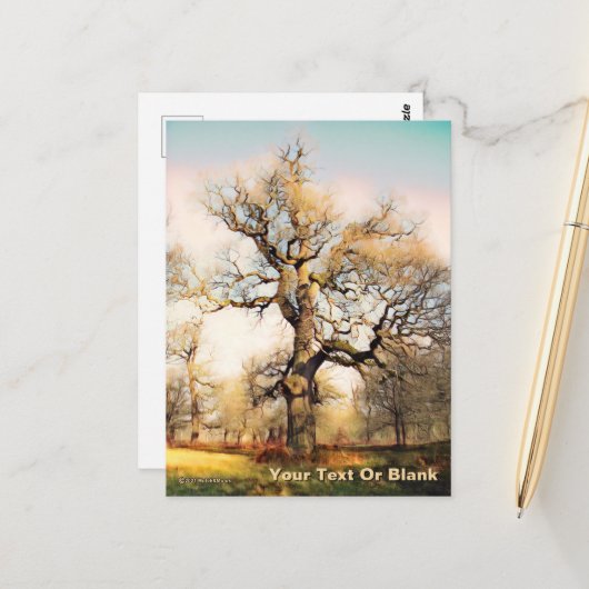 Carte Postale Palais de Blenheim Chêne anglais (Devant/Arrière en situation)