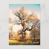 Carte Postale Palais de Blenheim Chêne anglais (Devant)