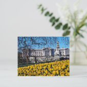Carte Postale Palais de Buckingham, fleurs de Londres (Debout devant)