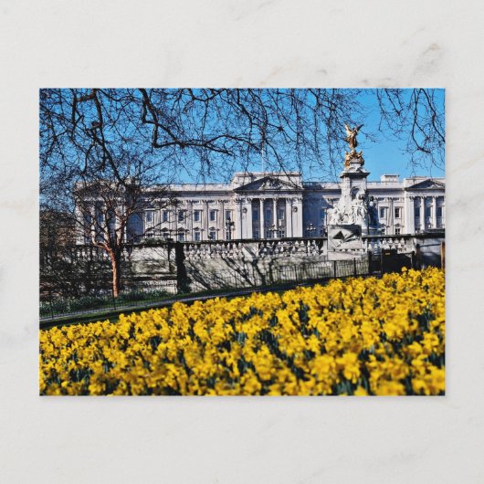 Carte Postale Palais de Buckingham, fleurs de Londres (Devant)