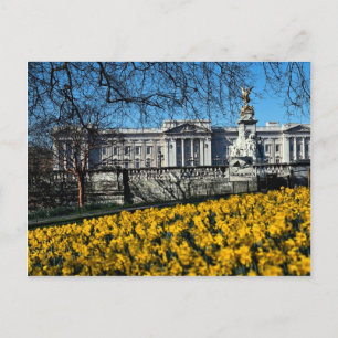 Carte Postale Palais de Buckingham, Londres