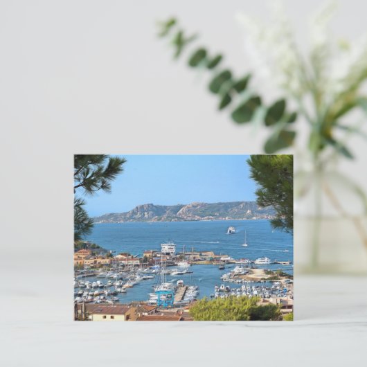 Carte Postale Palaos. #2 (Debout devant)